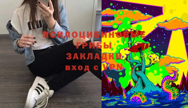 эйфоретик Алексин