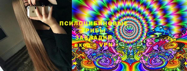 молекула духа Алексеевка