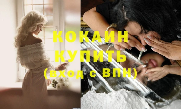 молекула духа Алексеевка