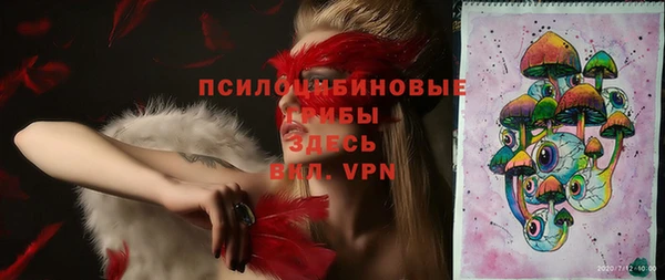 молекула духа Алексеевка