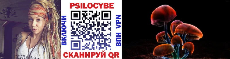 Псилоцибиновые грибы Psilocybe  продажа наркотиков  маркетплейс клад  Боготол  мега ТОР 
